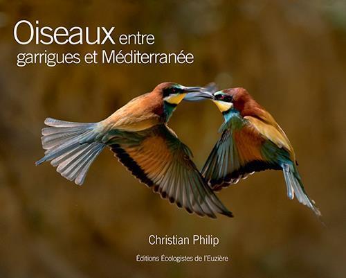 Birds - Between scrubland and the Mediterranean Sea