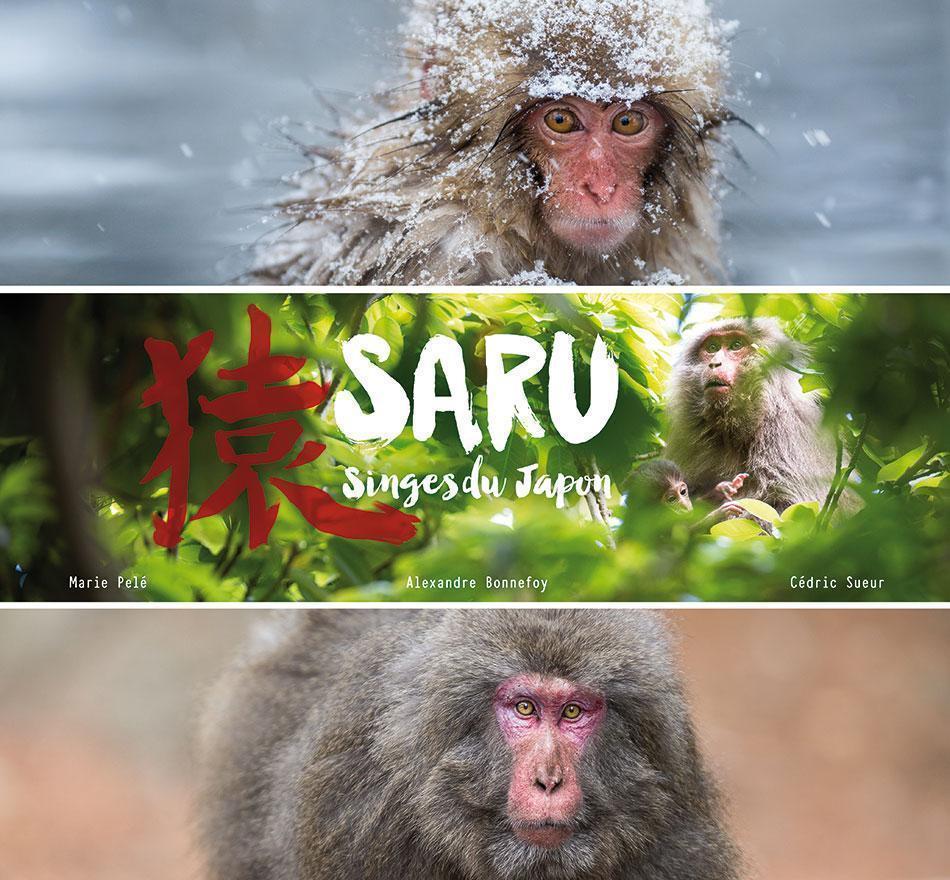 Saru - Monkeys of Japan